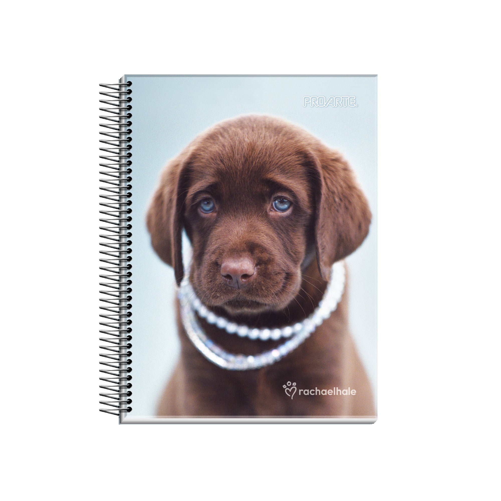 Cuaderno carta proarte animale 7mm 150hj